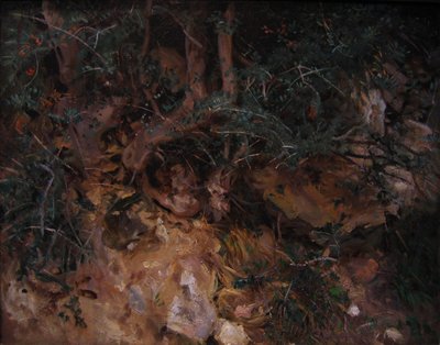 Valdemosa, Maiorca: cardi e erbe su un pendio da John Singer Sargent